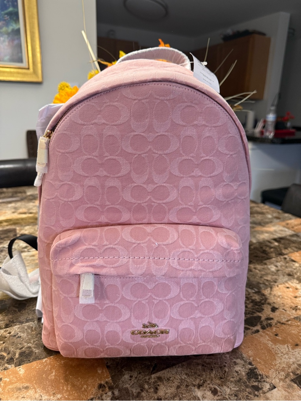 Coach Pink Mini Signature Backpack with Gold Logo